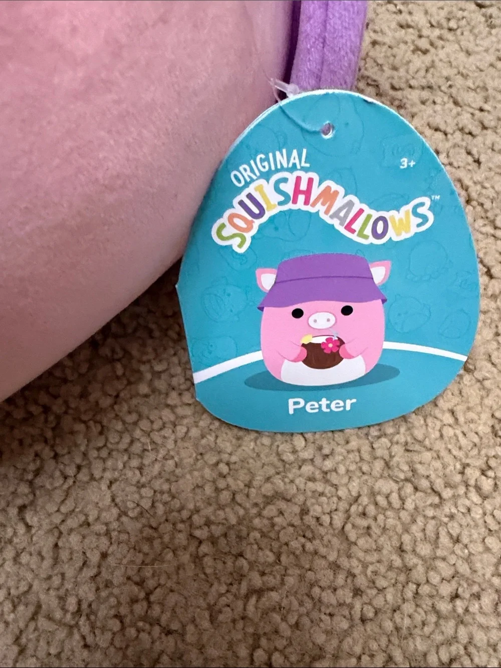Plush Pink Pig with Coconut Drink Kids Toy